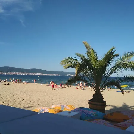 Bonita סאני ביץ'